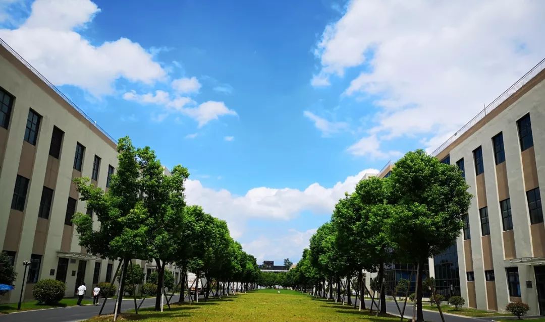 1571102976514960xcBZ.jpg 5.jpg